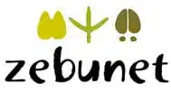 LogoZebunetPetit-6