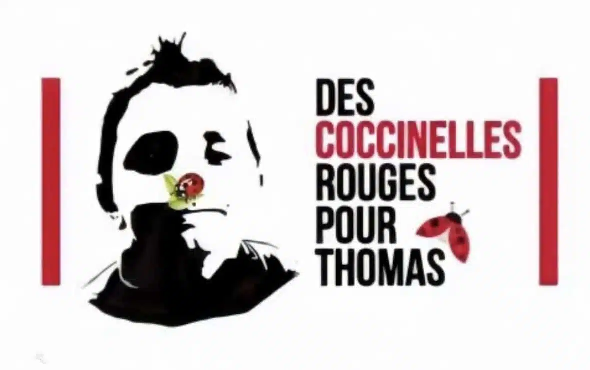 logo-coccinelle-2
