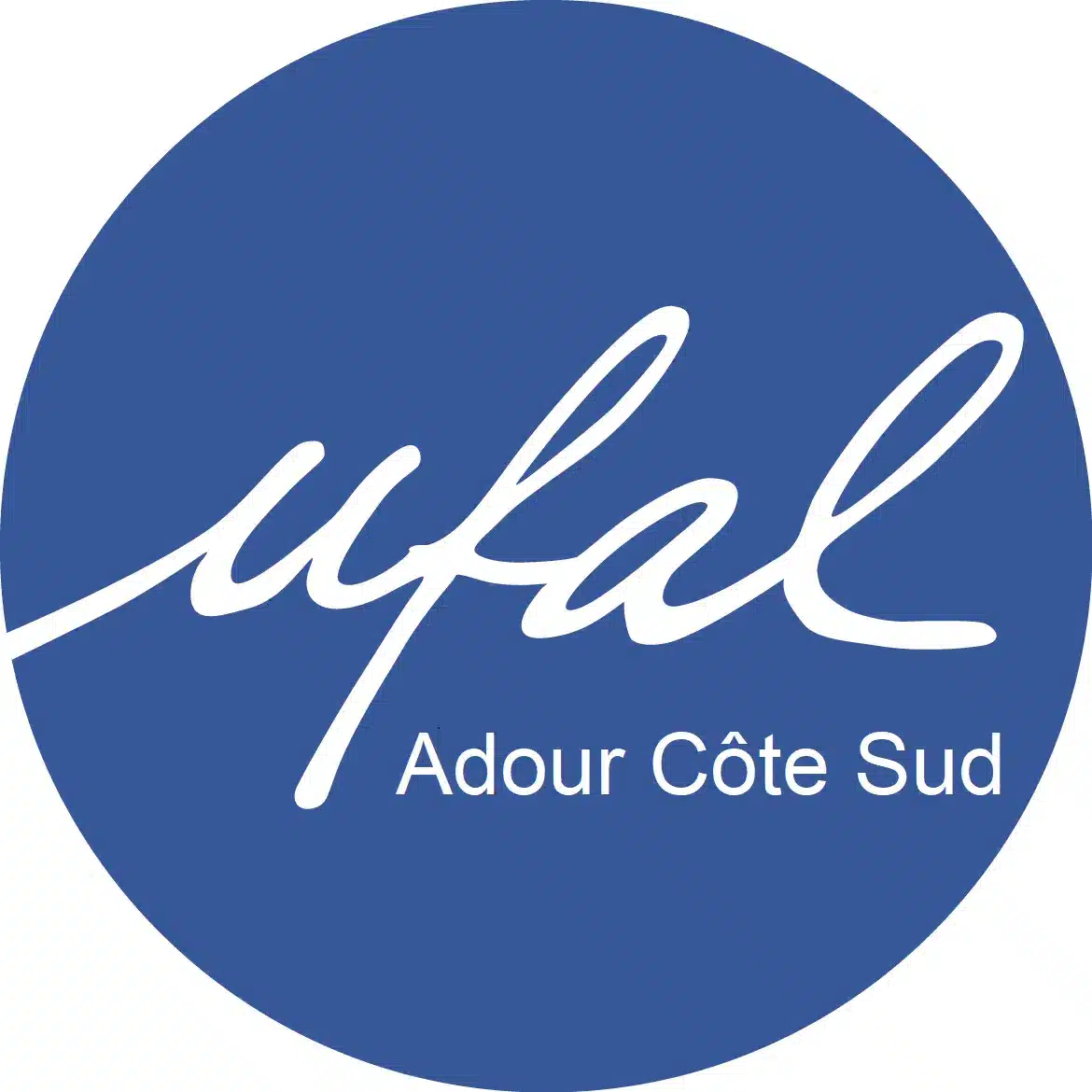 logo_Ufal_ACS-3